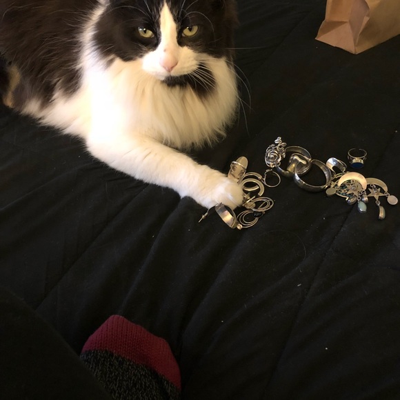 Posh Ambassador II, Anita 😊😊❤️❤️ - Picture 9 of 12